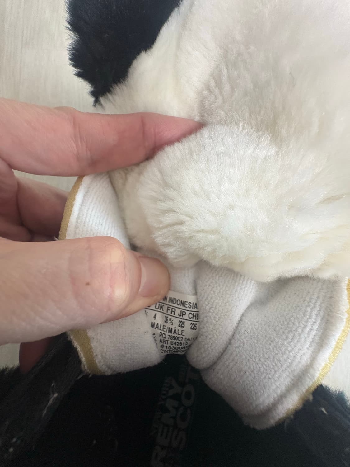 제레미스캇 베어 상품이미지9