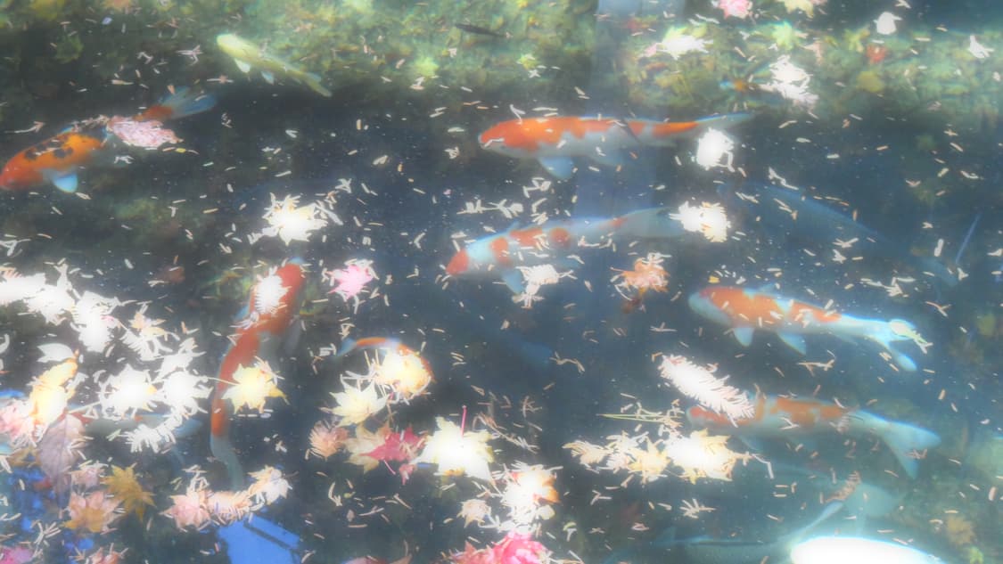 (작례o) 삼성 미러팝 디카 MV800 상품이미지6