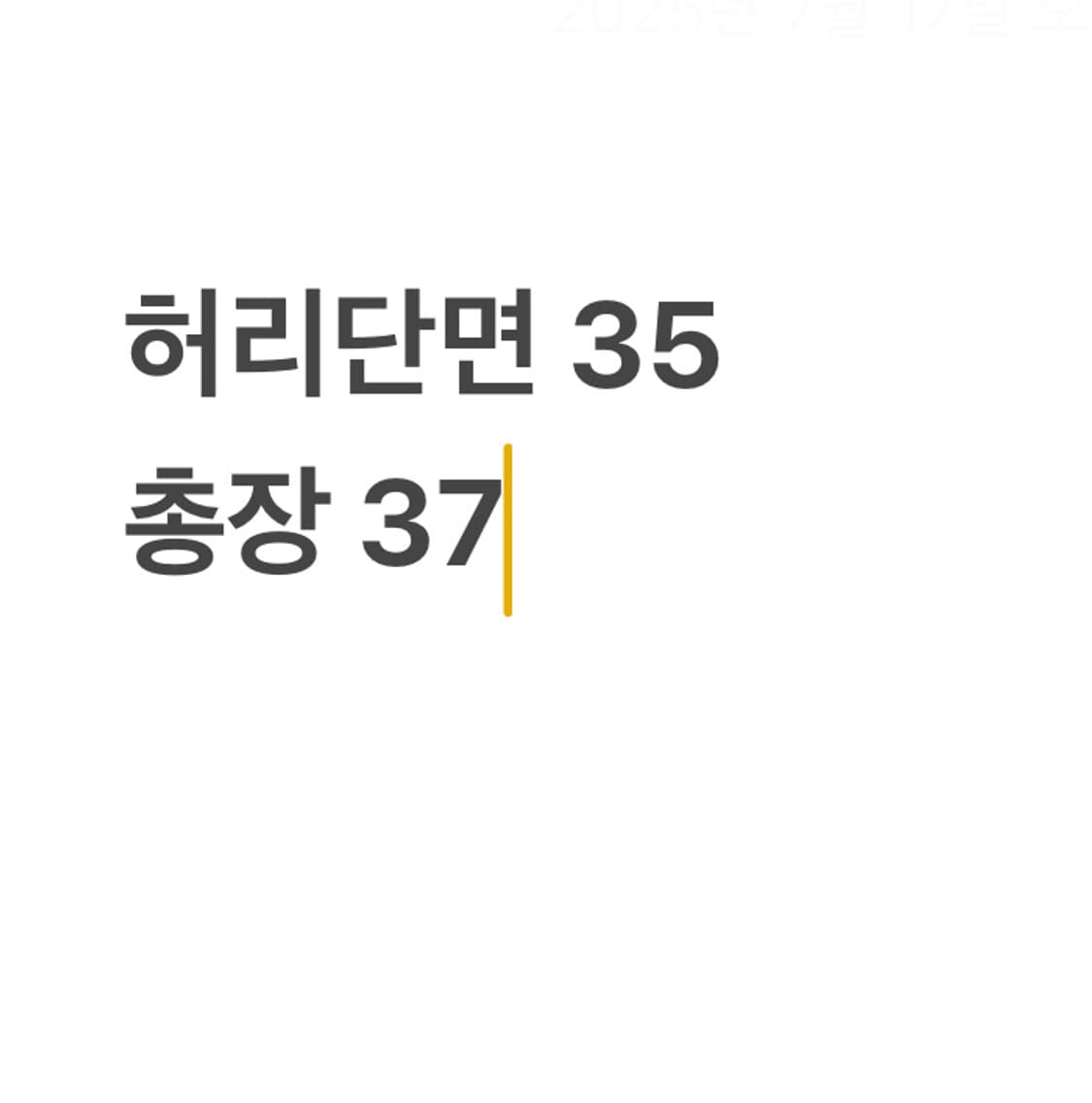 폴로랄프로렌 중청 청치마 상품이미지5