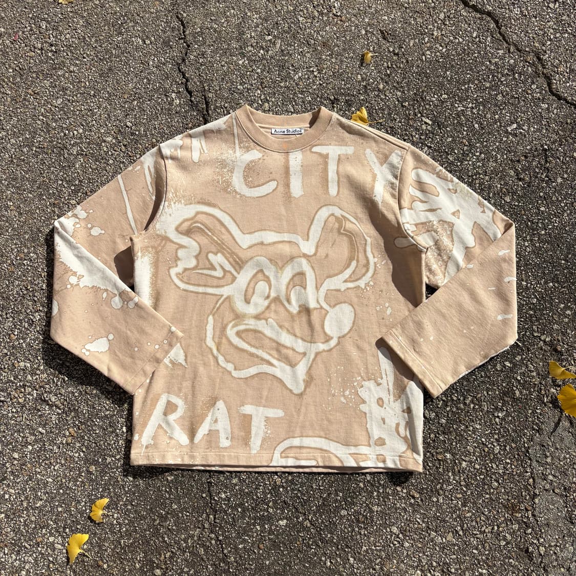 아크네 스튜디오 City Rat 패턴 스웻셔츠 상품이미지2