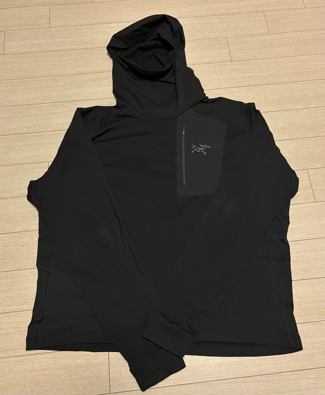 (XL) 아크테릭스 RHO LT 후드 블랙 상품이미지1