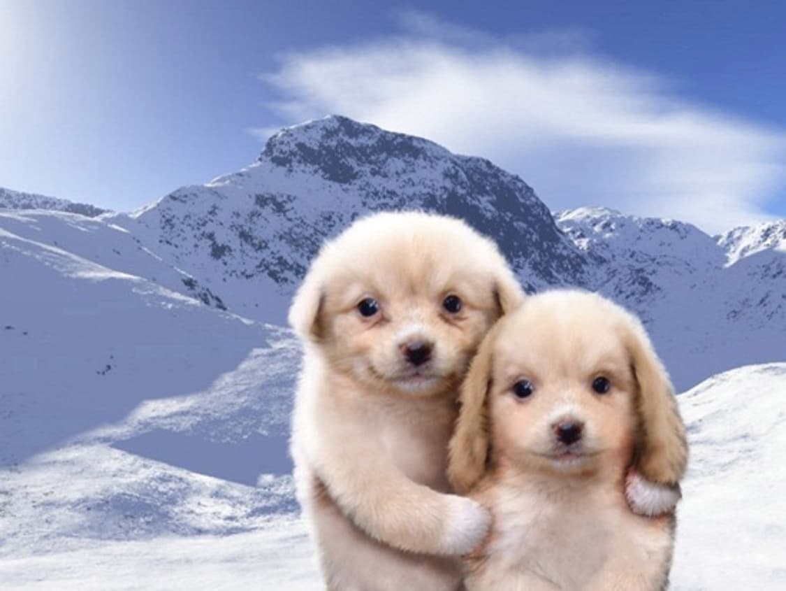 개인결제창 상품이미지1