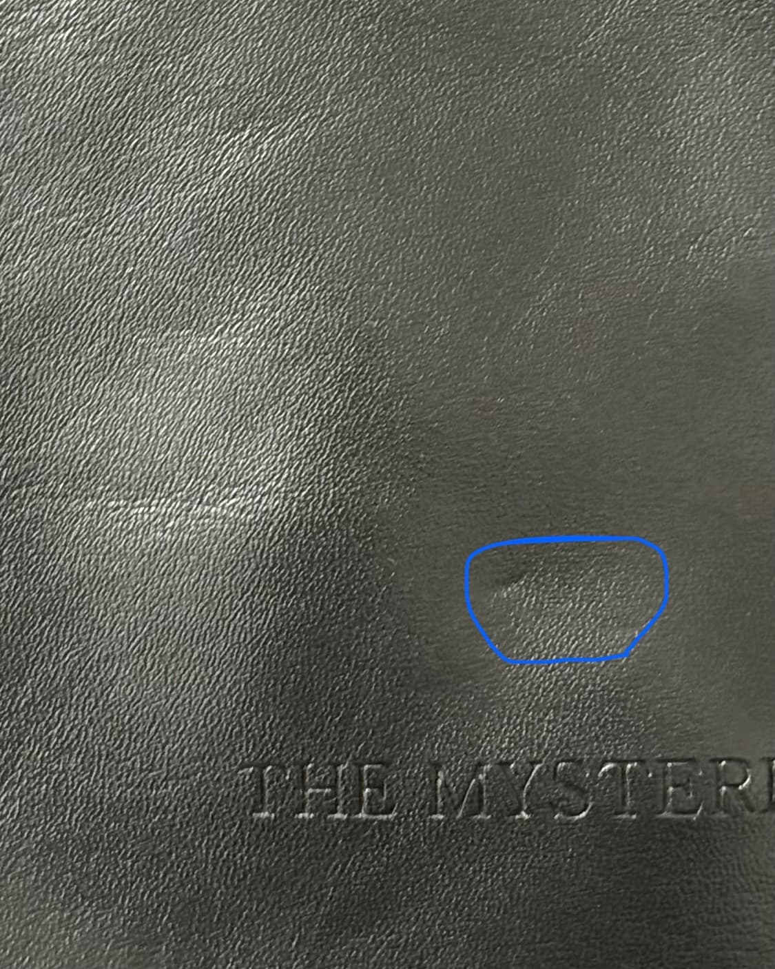 더미스테리어스호텔 웨스턴 벨트백 블랙 상품이미지6