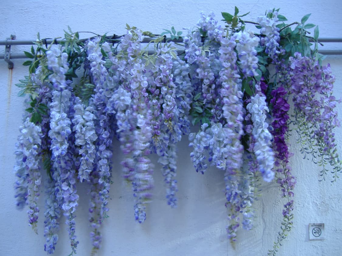 작례O,Y2K)후지 파인픽스 FUJI FinePix A350 빈티지 디카 상품이미지10