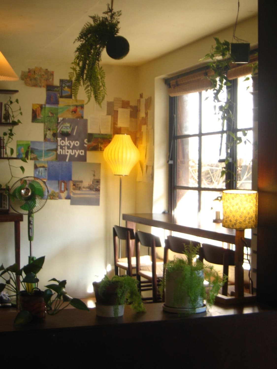 캐논 익시 700 (익서스 750) 상품이미지9