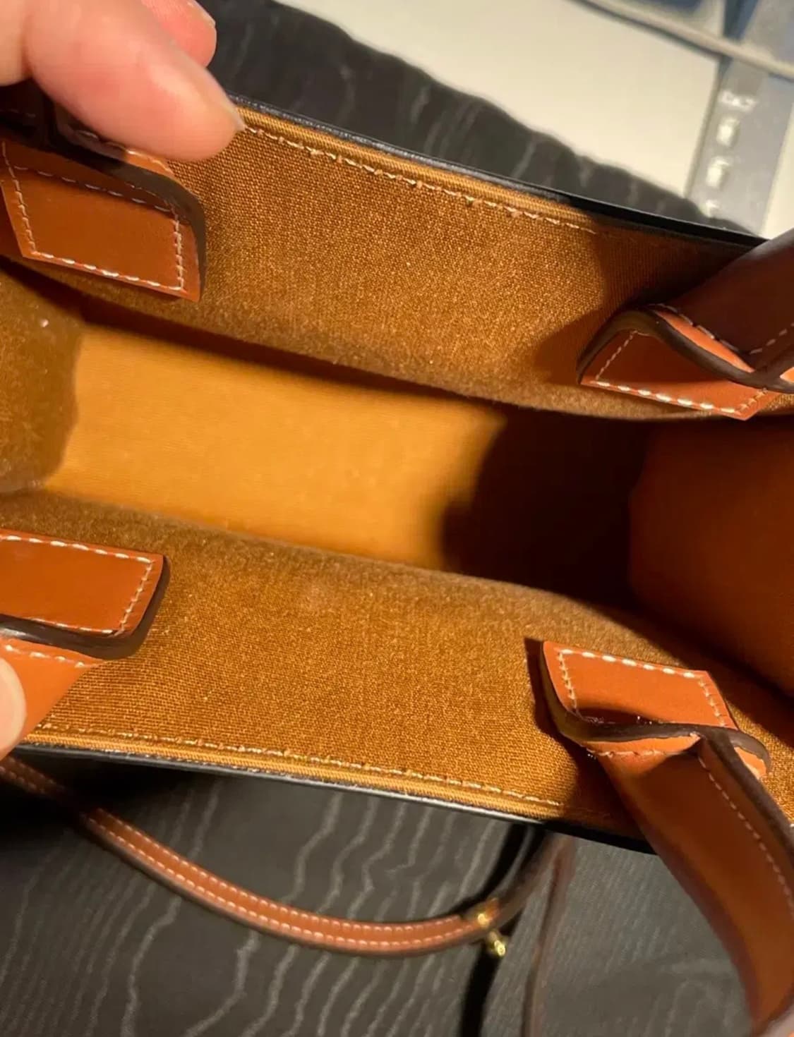 셀린느 트리옹페 캔버스 미니 상품이미지3