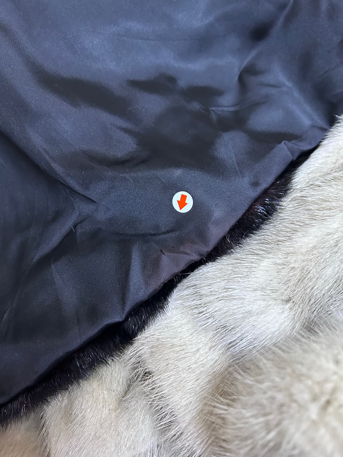 SAGA MINK 사가 밍크 역모 상품이미지8