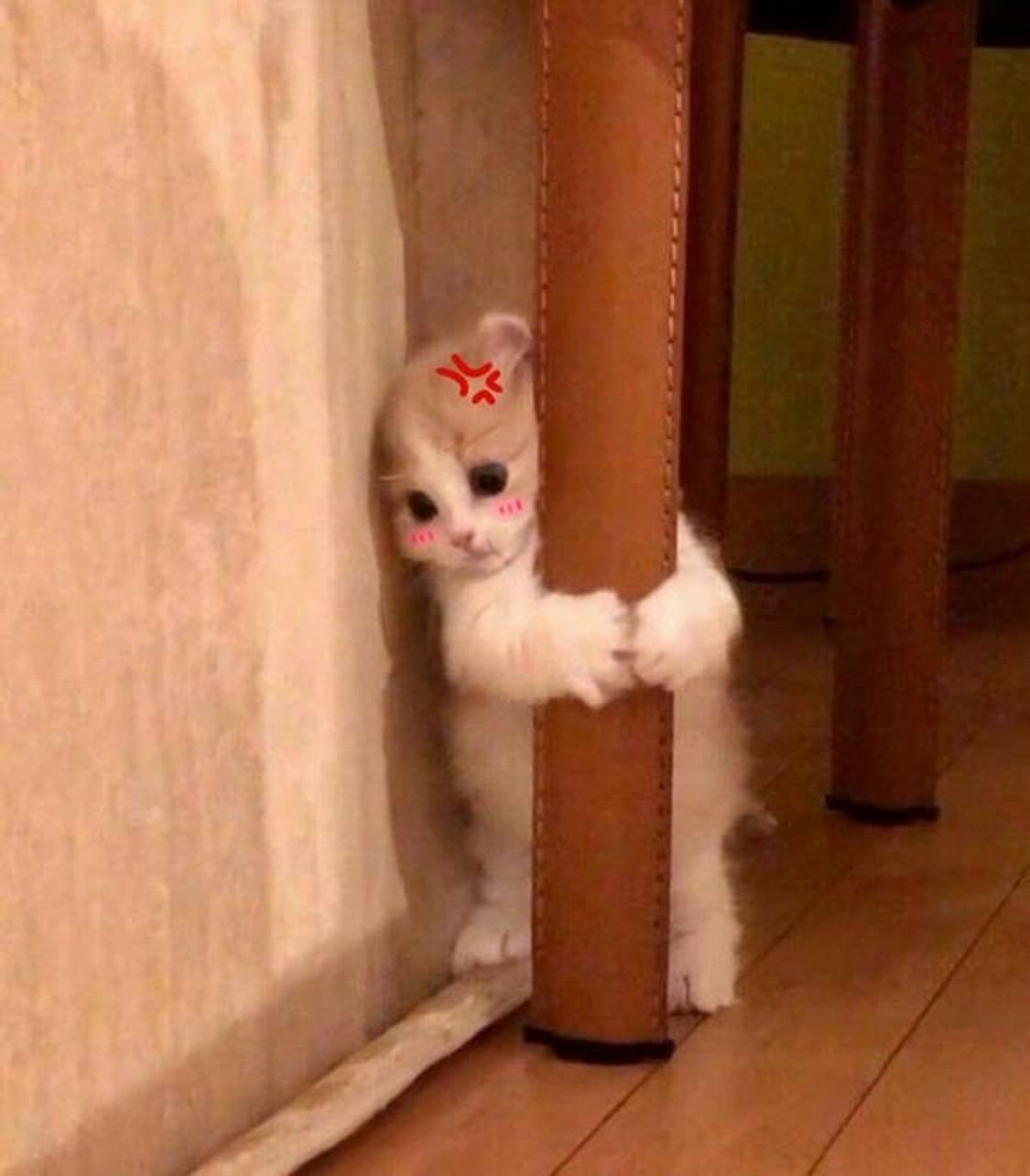 결제창 상품이미지1