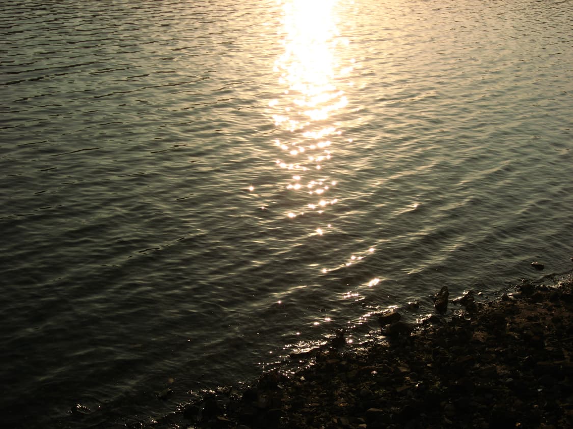 (작례 ㅇ) 빈티지 색감 캐논 익시 800 ixy 800 익서스 상품이미지5