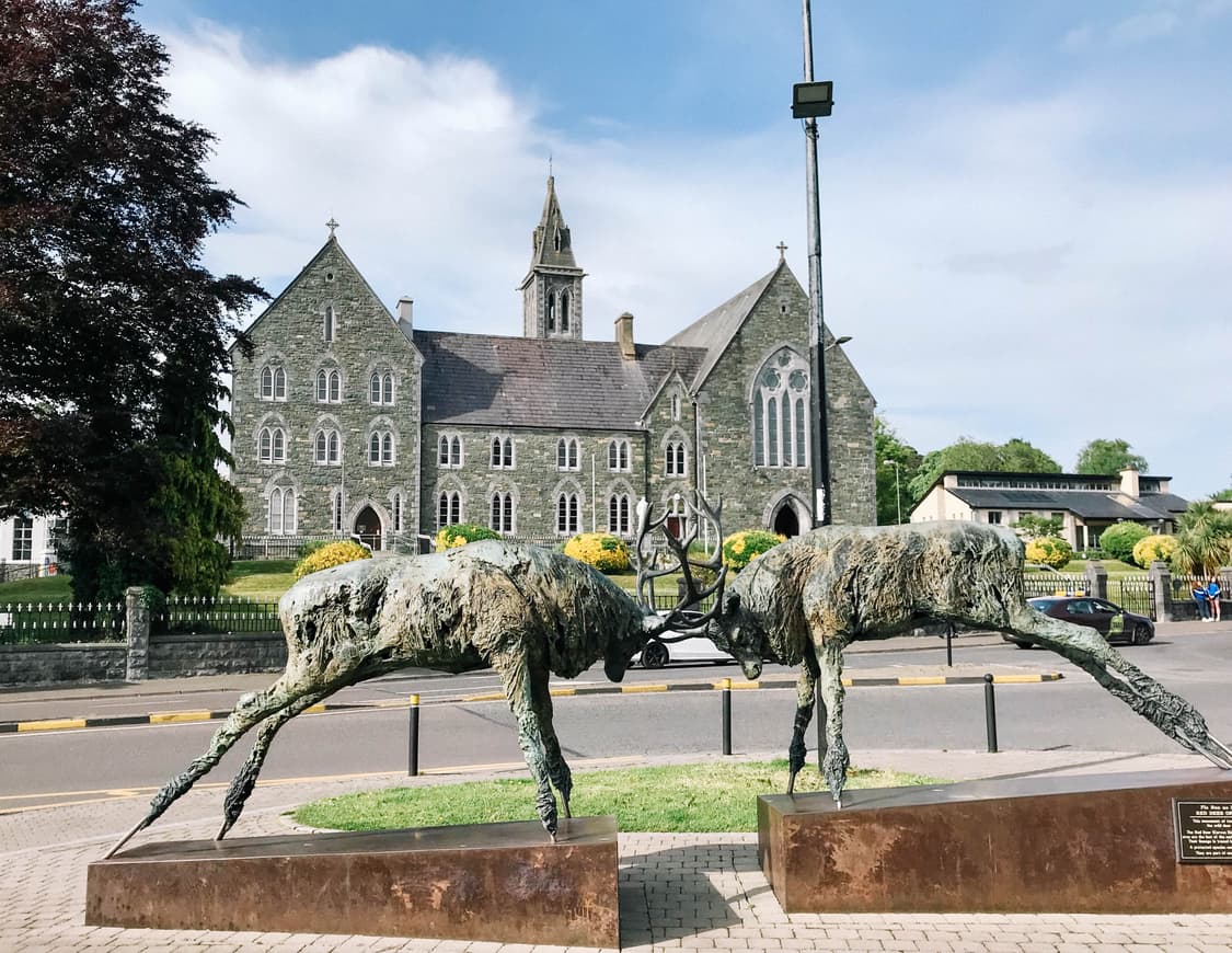 (민트급) Nikon COOLPIX 885 (니콘 쿨픽스 885) 상품이미지9