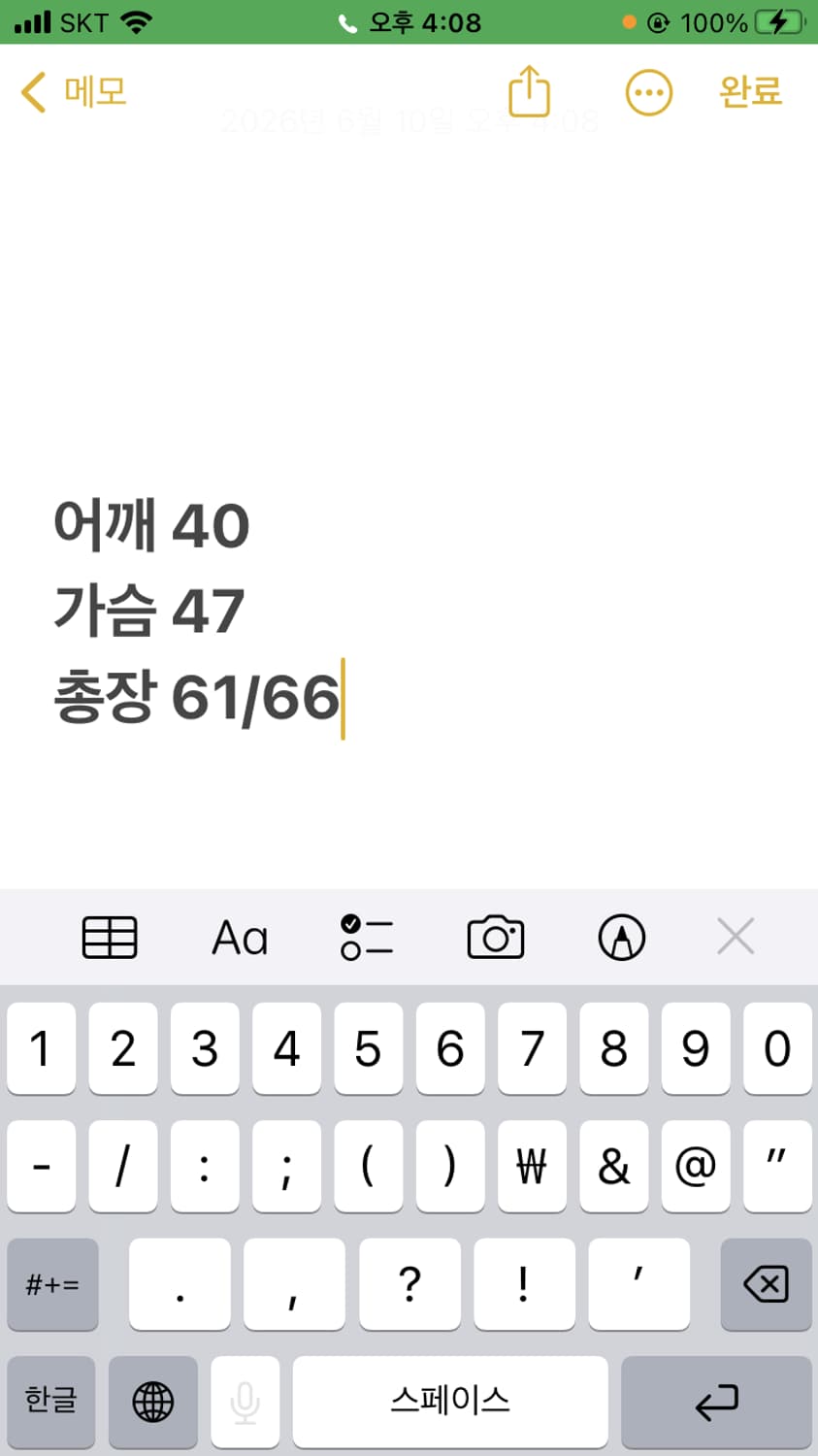 폴로랄프로렌 빅포니 카라티 상품이미지7