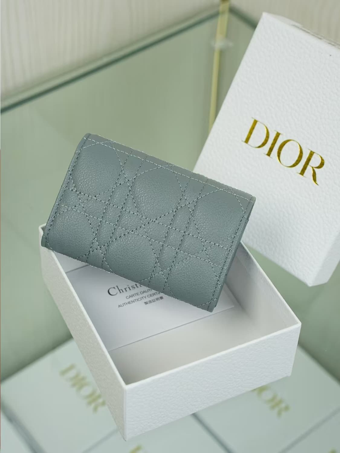 디올 카로 XS 지갑 서플 까나쥬 카프스킨 클라우드 블루 상품이미지4