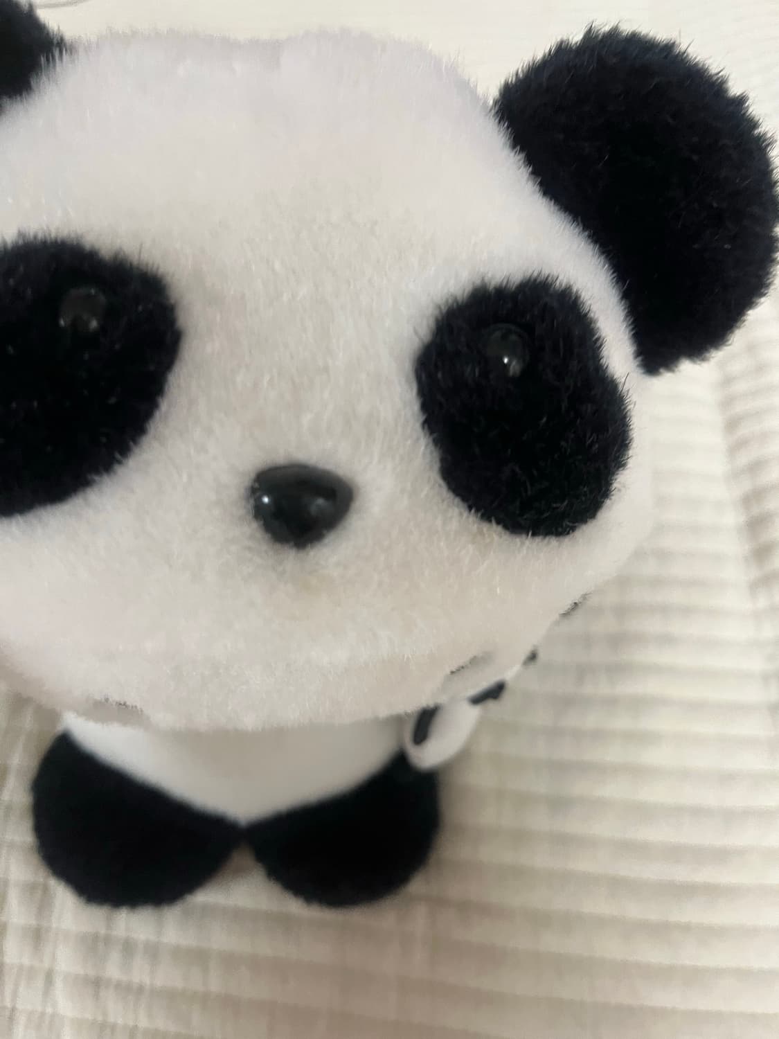 고전키티 판다 키티 인형 팬더가방키티 상품이미지3