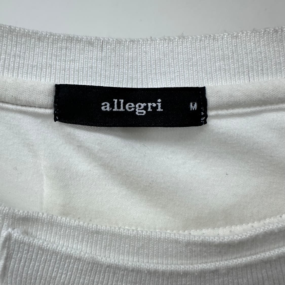 allegri 알레그리 레이어드 루즈핏 긴팔 티셔츠 M(100) J33 상품이미지4