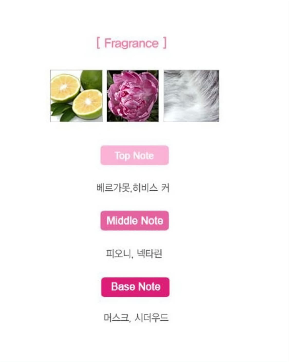 지미추 로 우먼 오드뚜왈렛 90ml 상품이미지3