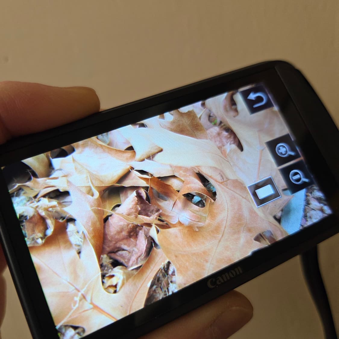 Ixus210 핑크 캐논 익서스210 풀박스 상품이미지5