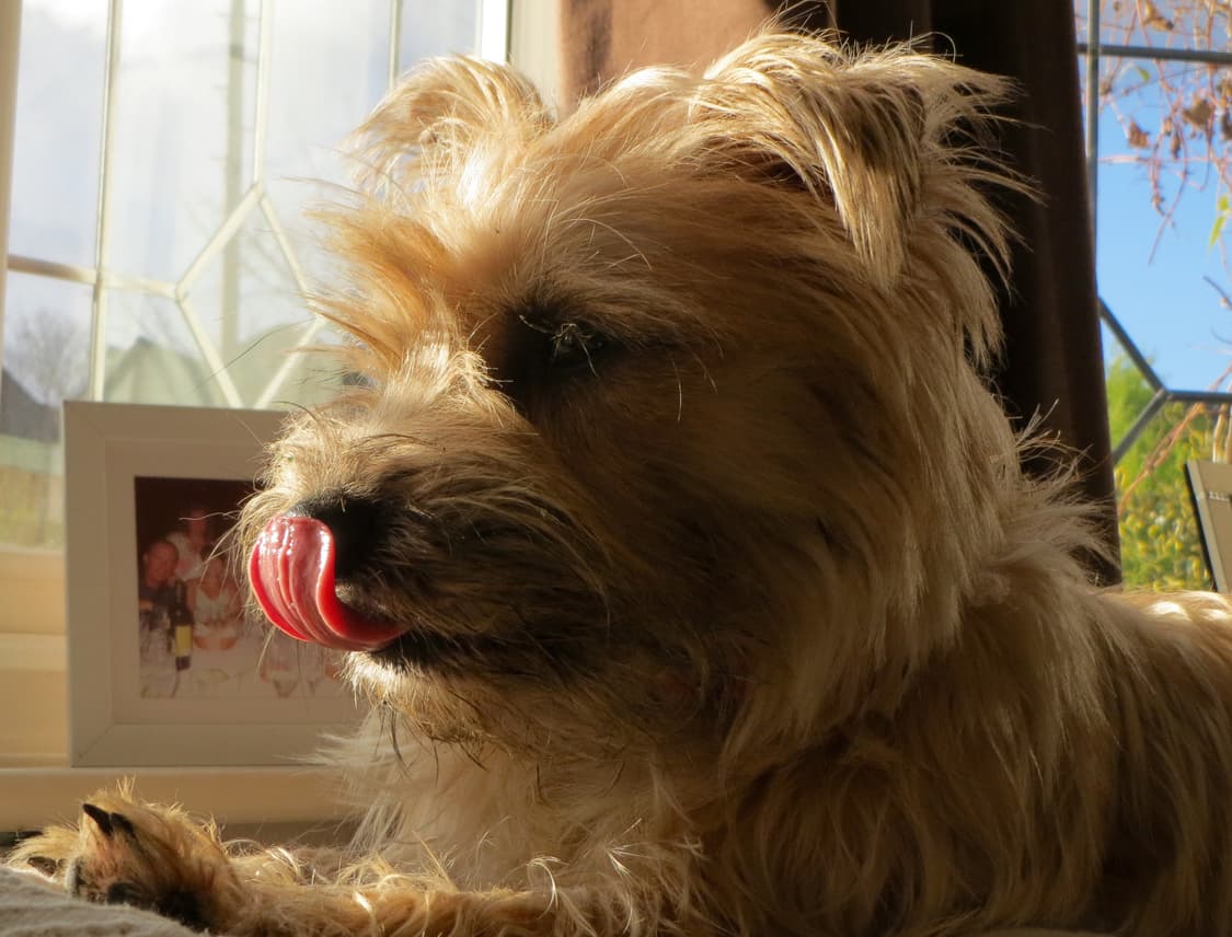 [하이엔드&네모!] 캐논 IXY 3 (IXUS500HS) 디지털카메라 상품이미지8