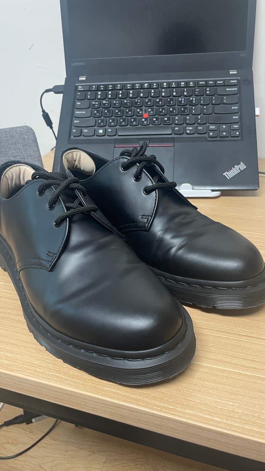 (290)닥터마틴 1461 모노  상품이미지2