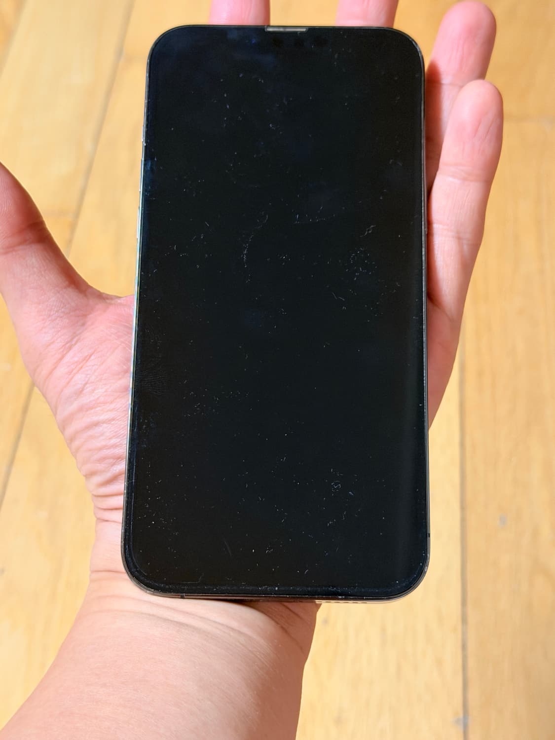 아이폰 13프로맥스 스페이스 그레이 1T 상품이미지1