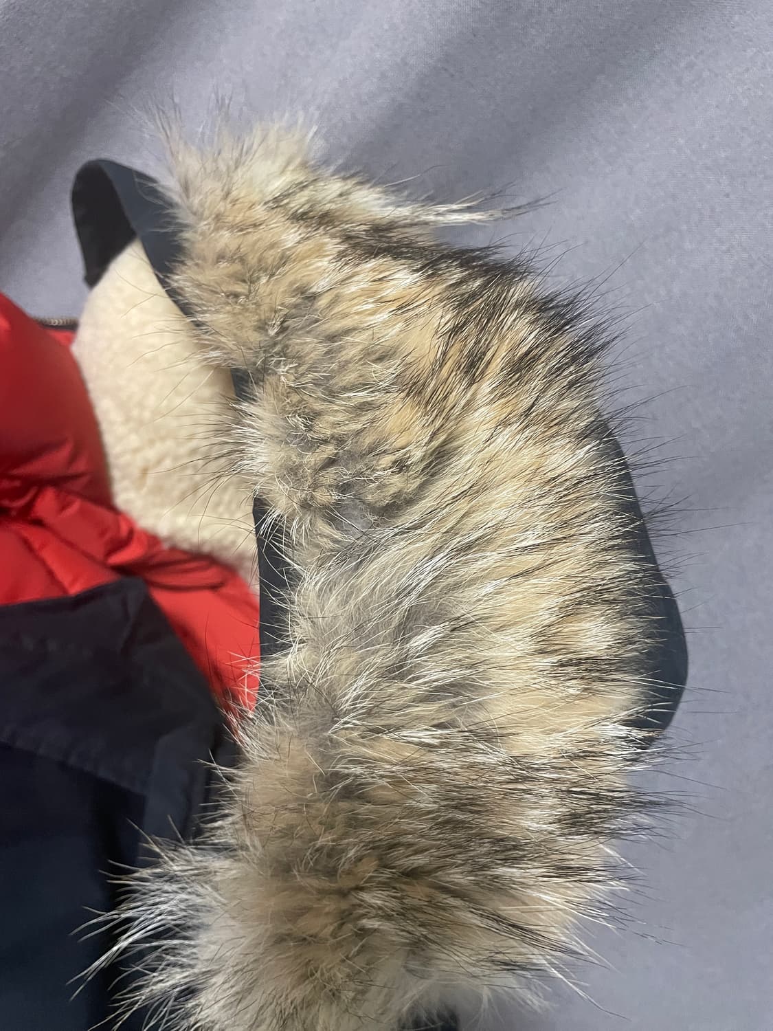 나이젤카본 에베레스트 파카 패딩 블랙 오렌지 54 사이즈 상품이미지7