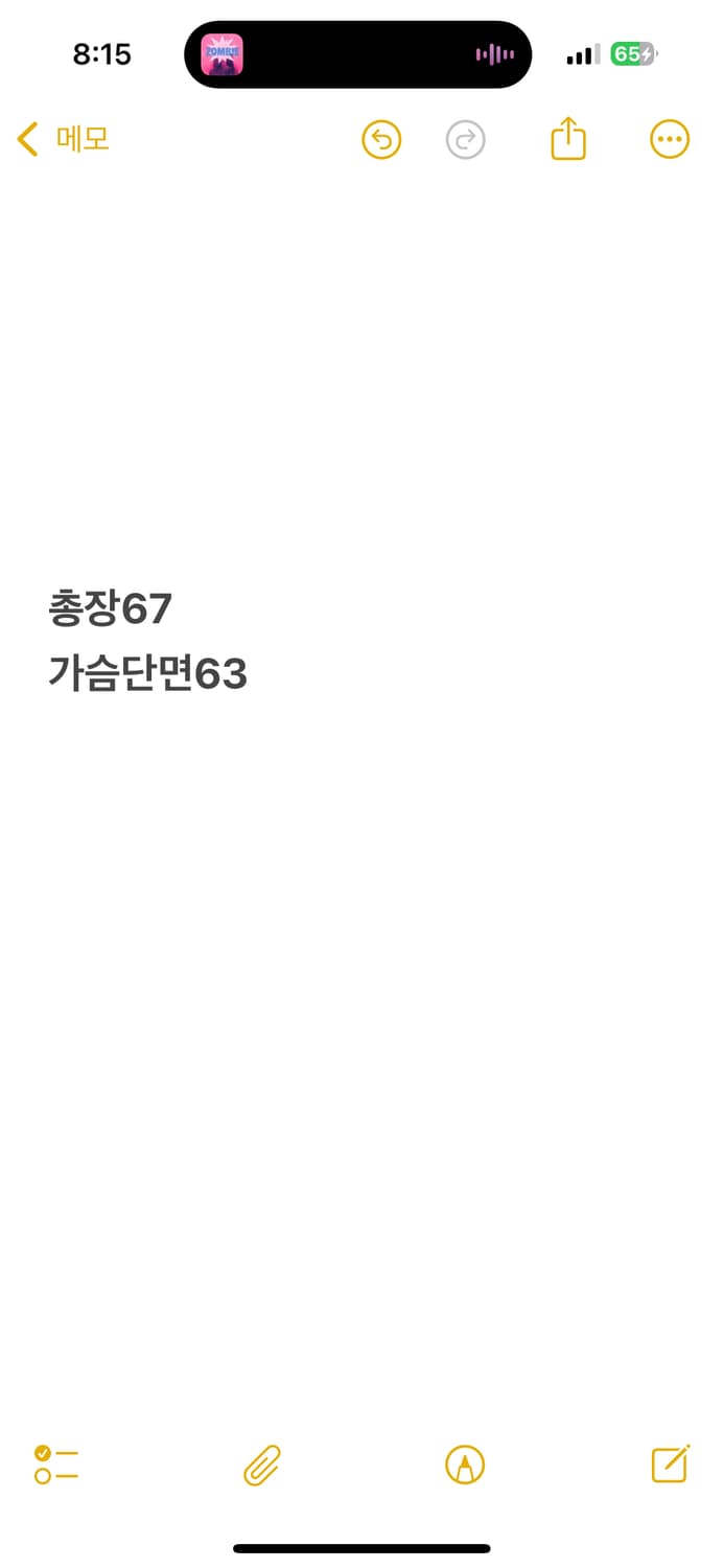 [정품/M] 와릿이즌 그레이 아노락 후드 바람막이 b18 상품이미지7