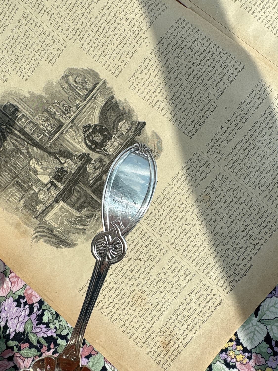 앤틱 실버플레이트 1847 ROGERS BROS 슈가 시프터 티스트레이너 상품이미지4