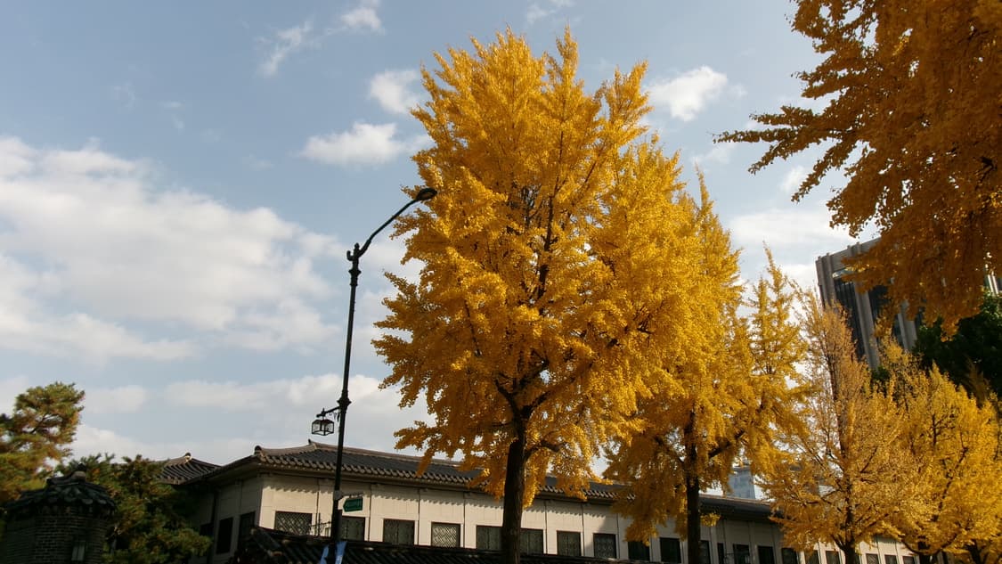 작례) 코닥 fz55  상품이미지6