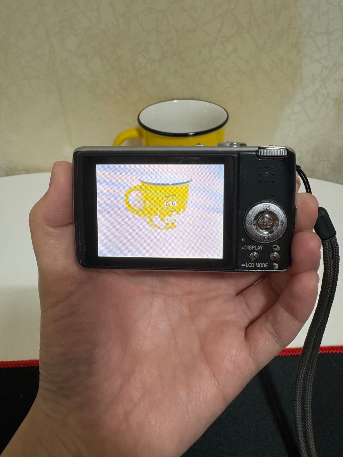 [박스O]라이카&파나소닉 Leica x Panasonic FX01루믹스 상품이미지2