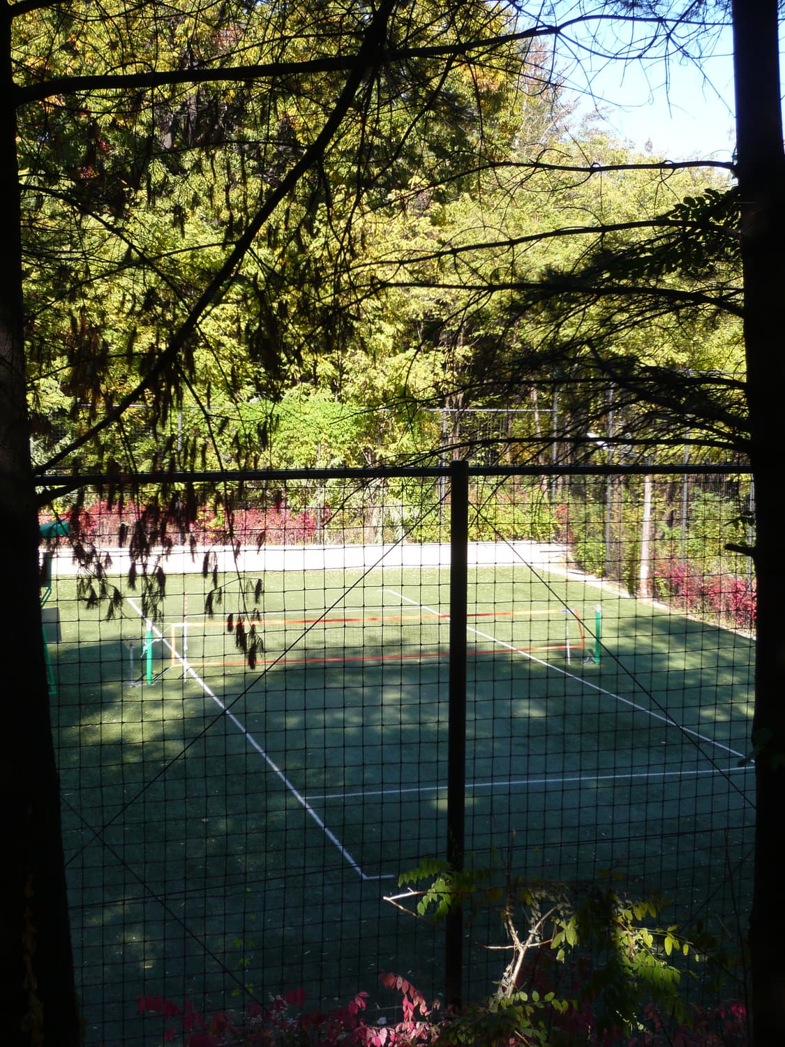 파나소닉 루믹스 DMC-FX33 실버 디카 (작례 O) 상품이미지8