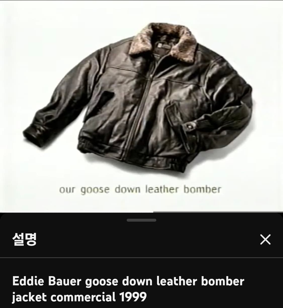 00's 에디바우어 구스다운 레더 봄버 자켓 상품이미지3