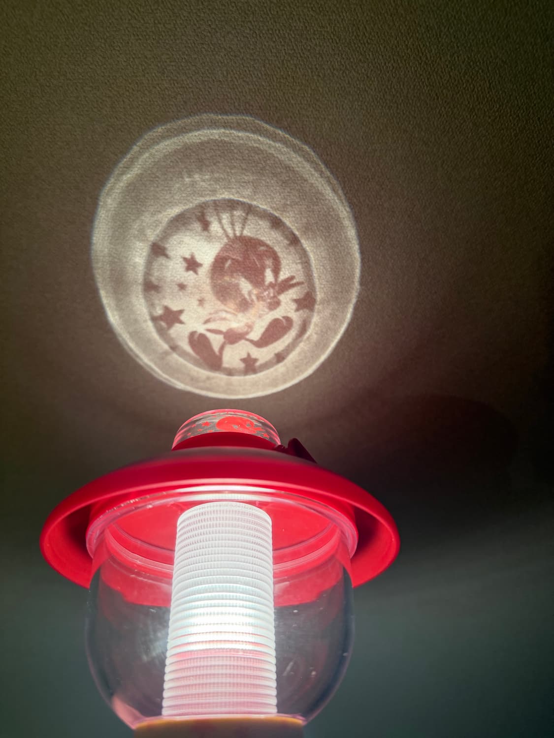 트위티 랜턴 상품이미지1