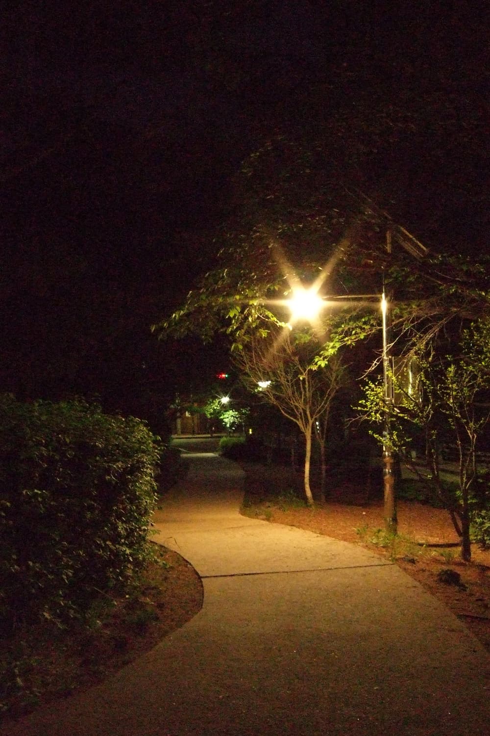 후지 파인픽스 f30팝니다. 상품이미지9