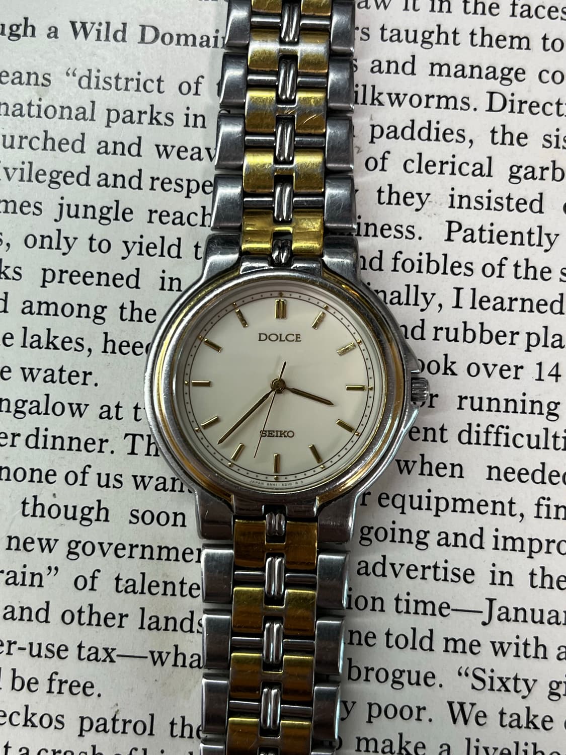 SEIKO DOLCE 투톤 하이엔드 쿼츠  상품이미지1