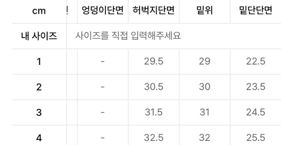 Semi flare wide 04 - Voyager blue 플레어진 상품이미지4