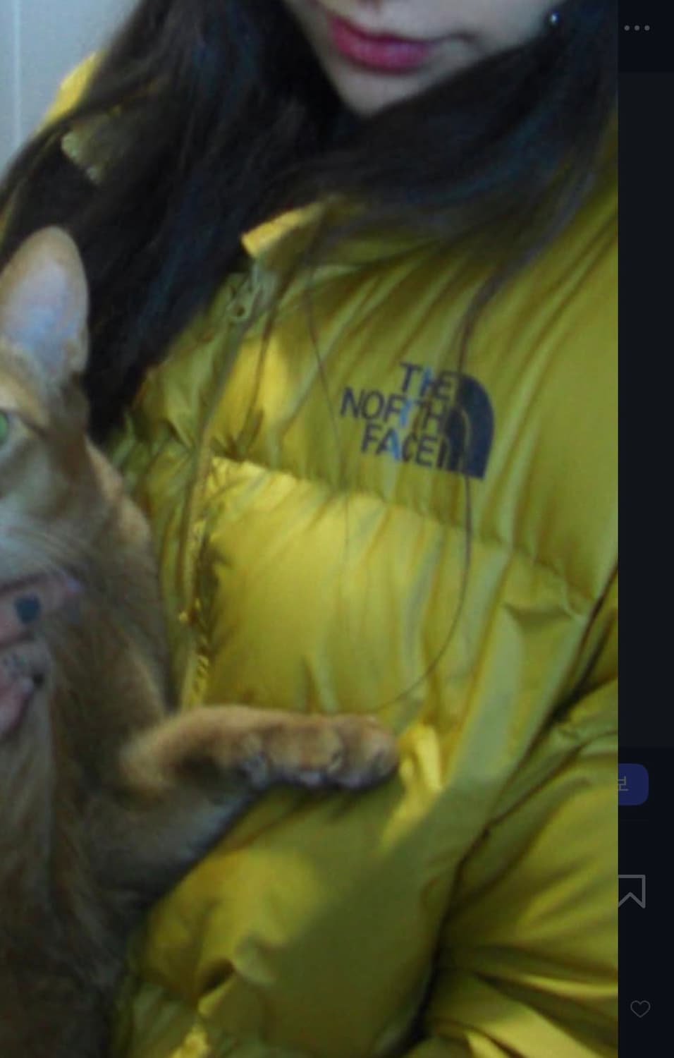 노스페이스 눕시 옐로우 상품이미지2