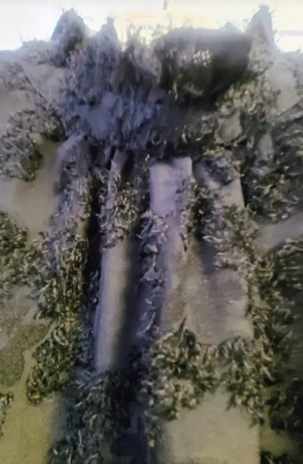 블랙 색상의 독특한 질감 패턴이 돋보이는 우아하고 고급스러운 블라우스 상품이미지3