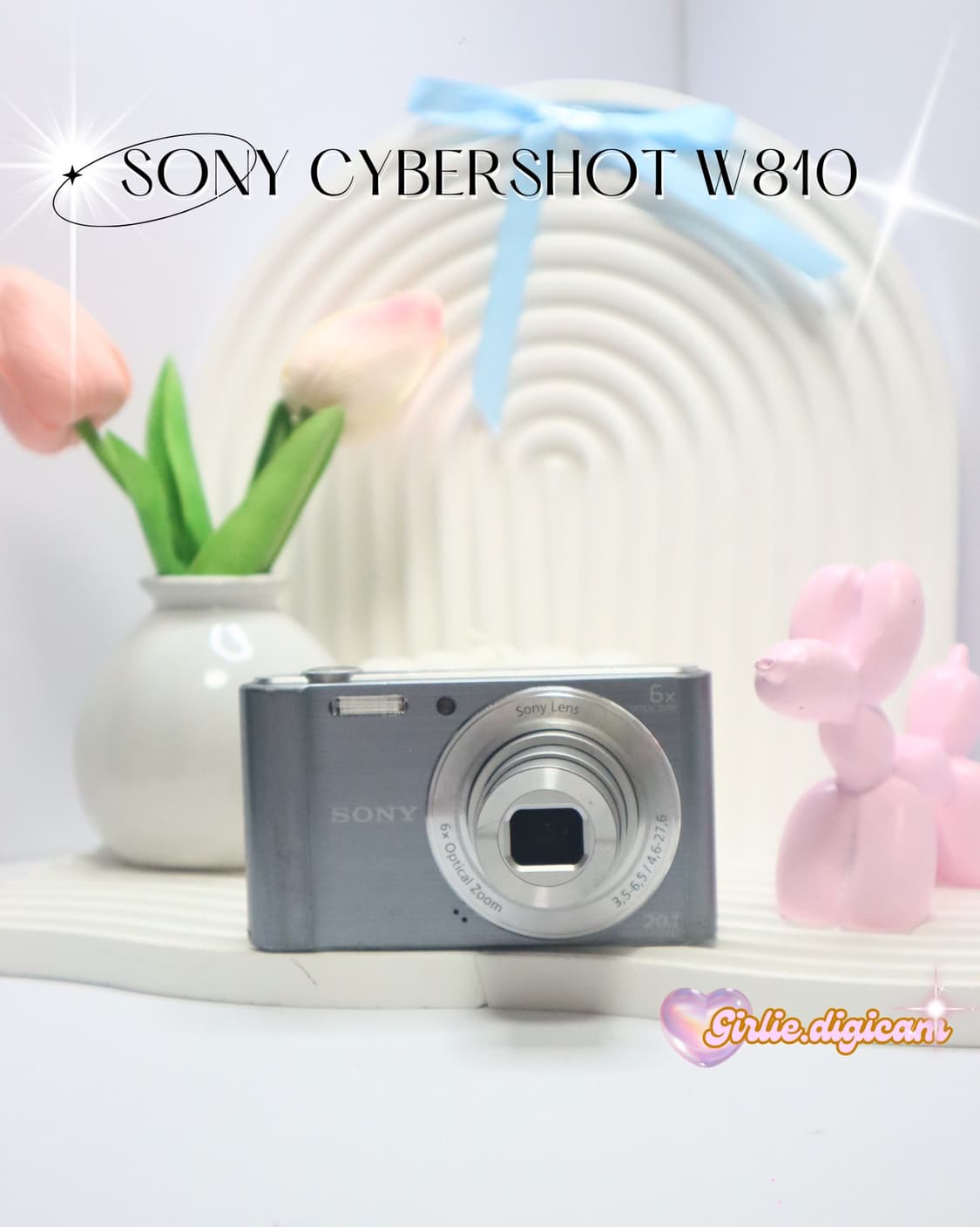 아이브레이디카 !)) 소니 사이버샷 W810 - SONY W810 상품이미지1