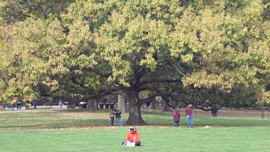 ✨한효주 디카✨ 삼성 미러팝 mv-900F (작례o) 상품이미지7