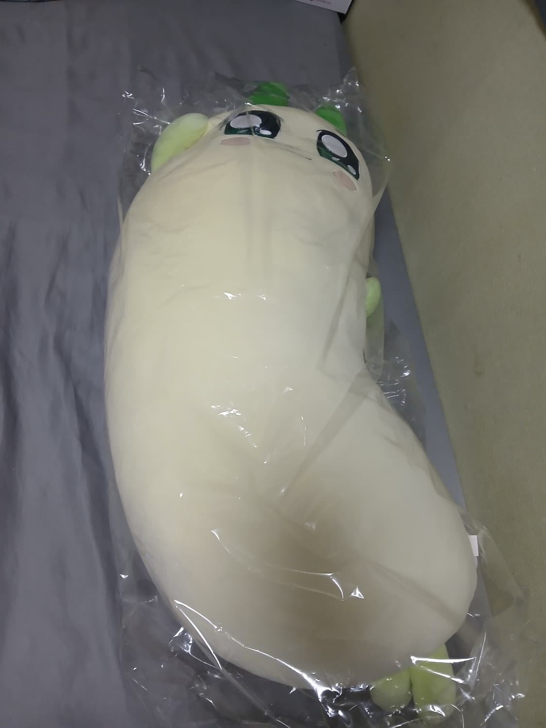 초 한정 수량 꼭 안아줘요 양파쿵야 바디필로우 상품이미지2