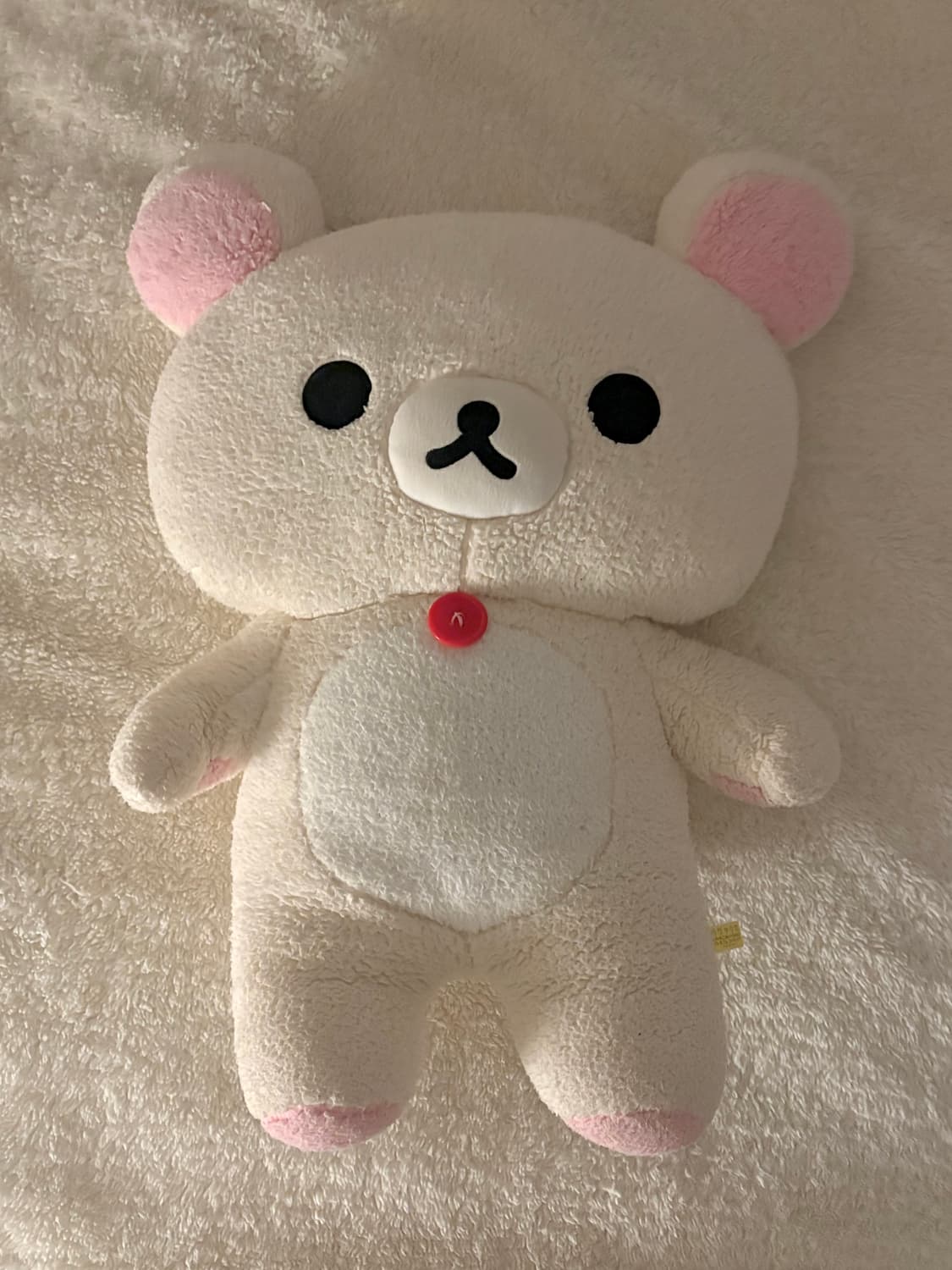 코리락쿠마 중형 상품이미지1