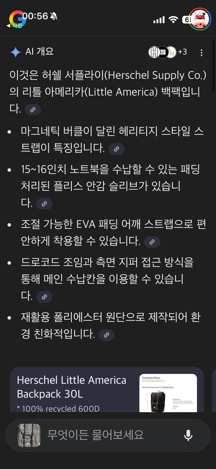 허쉘 백팩 상품이미지3