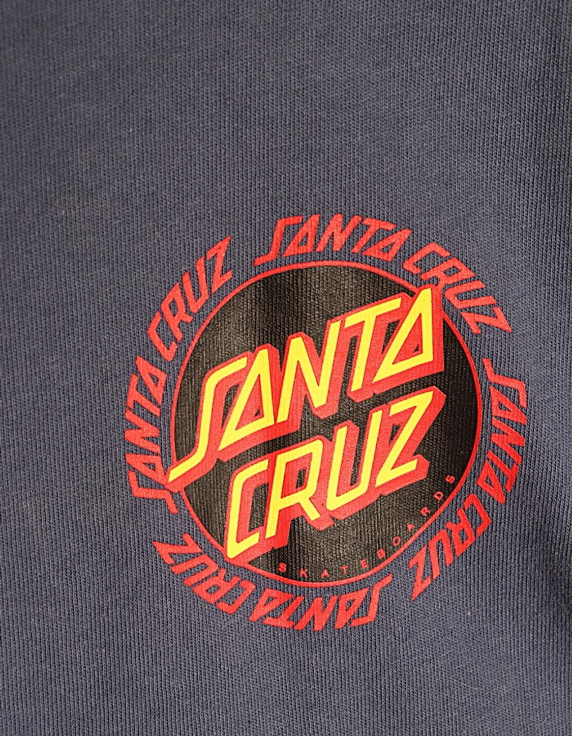 SANTA CRUZ Print T-Shirts 상품이미지2