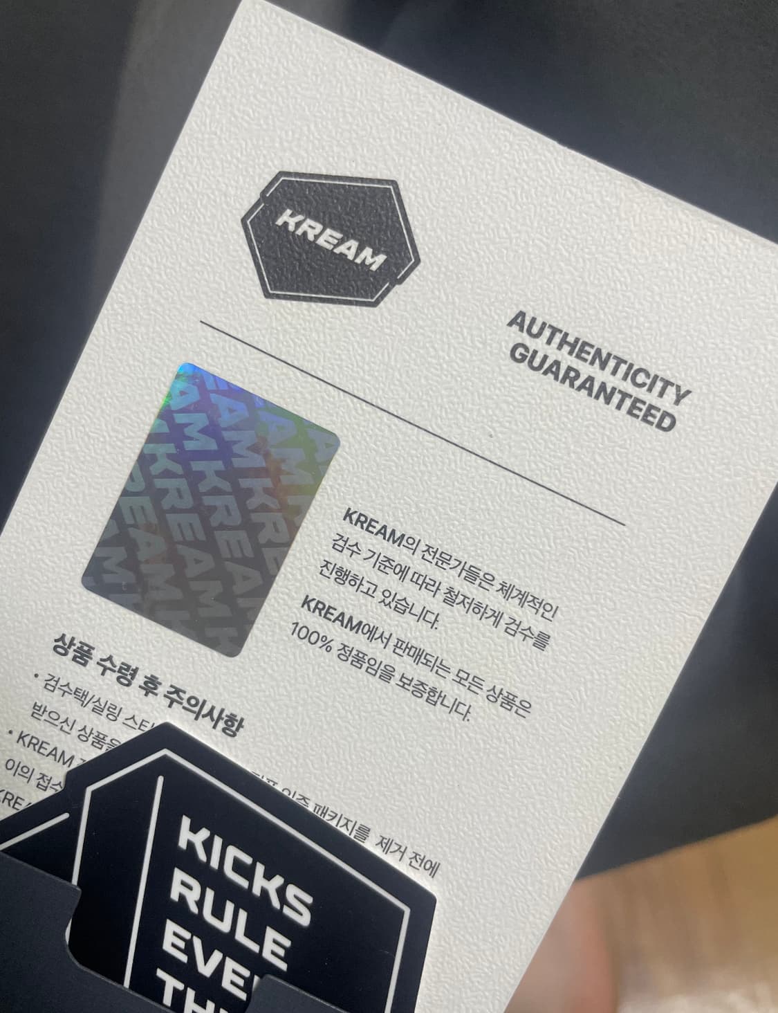 [XL] 발렌시아가 이지갭 도브 후드 블랙 상품이미지2