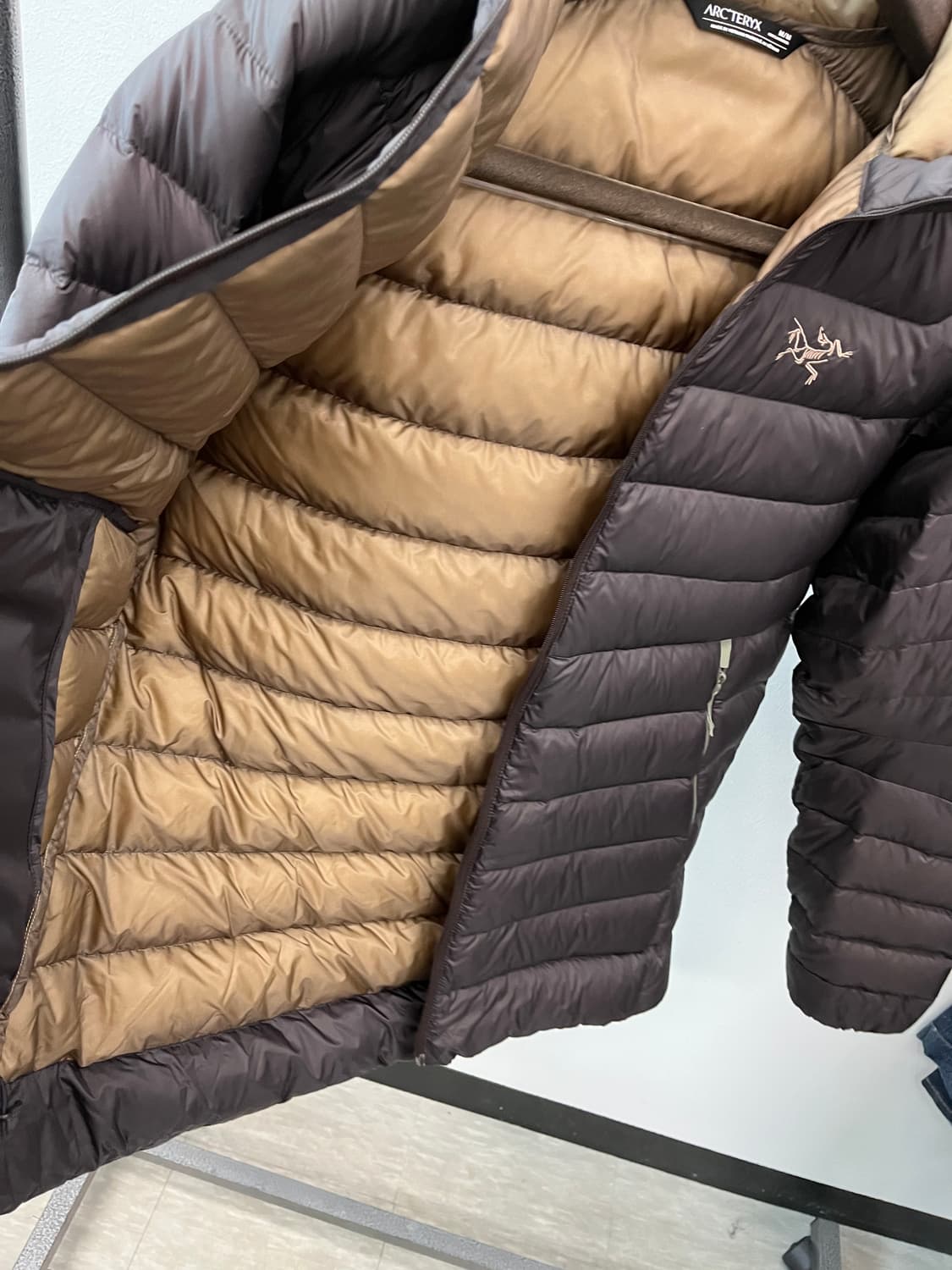 M) 아크테릭스 세륨 브라운  상품이미지7