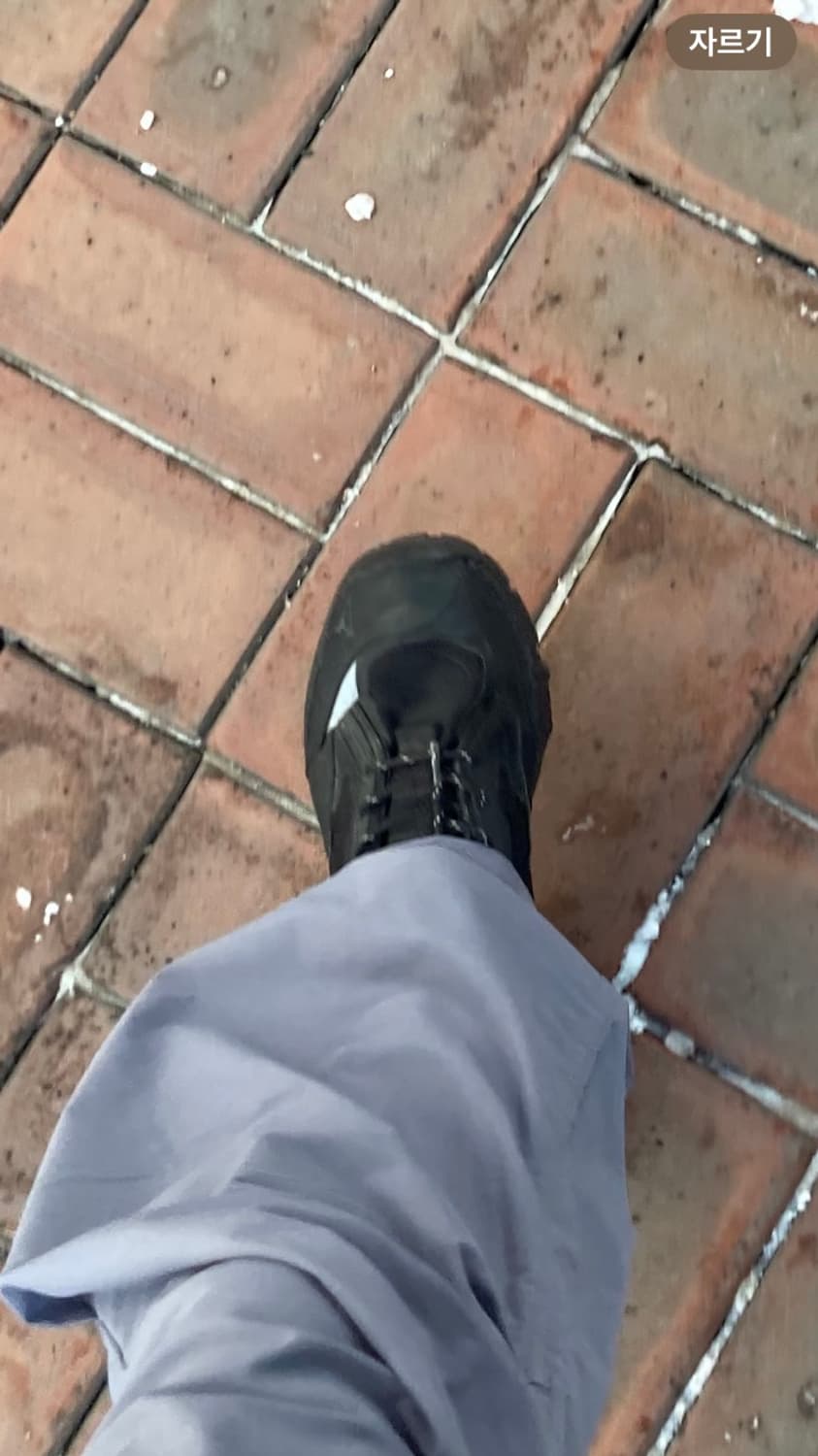 로아 하이킹 락파 블랙 42 상품이미지4