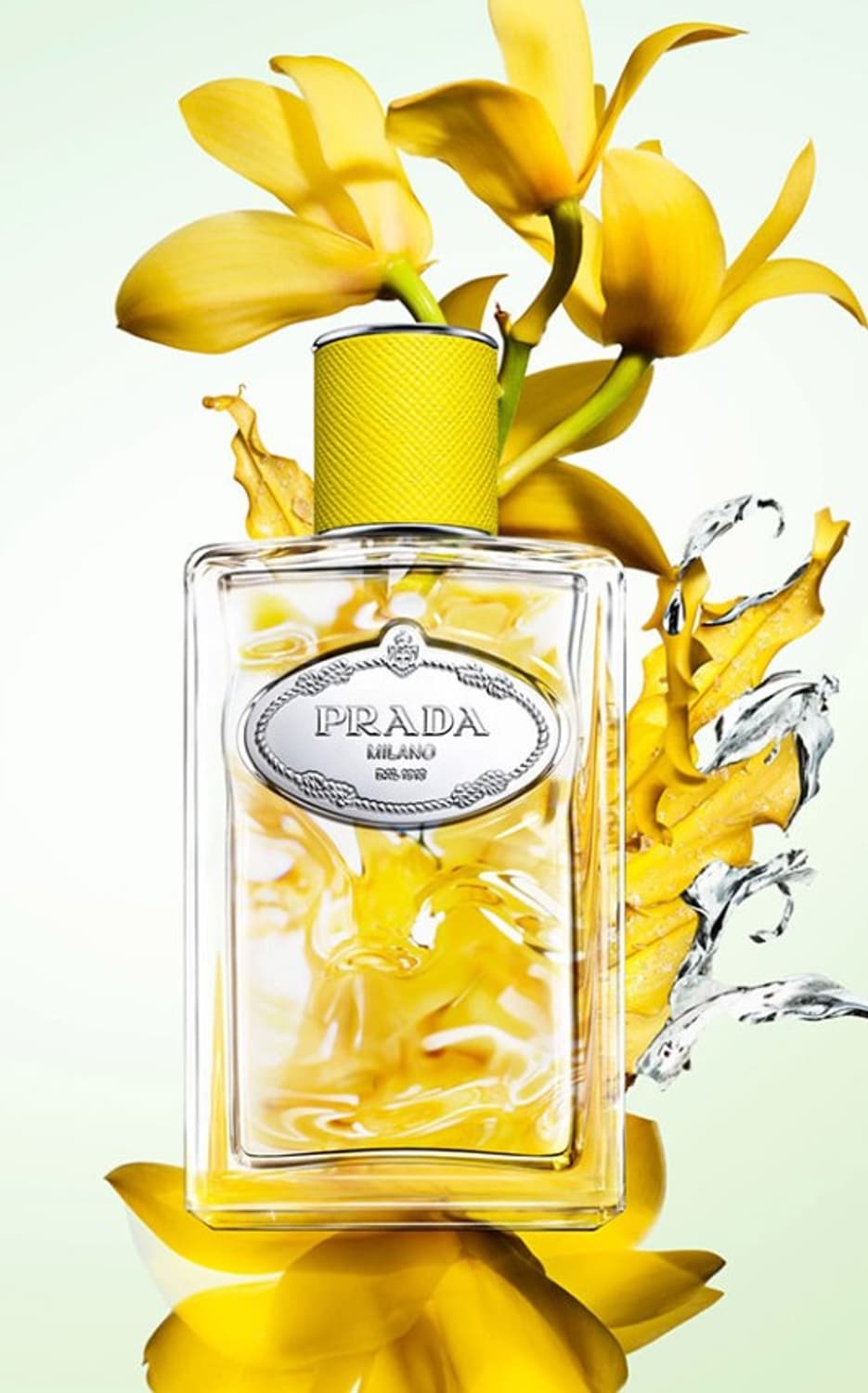 프라다 레 인퓨전 드 프라다 일랑 오드퍼퓸 100ml 상품이미지2