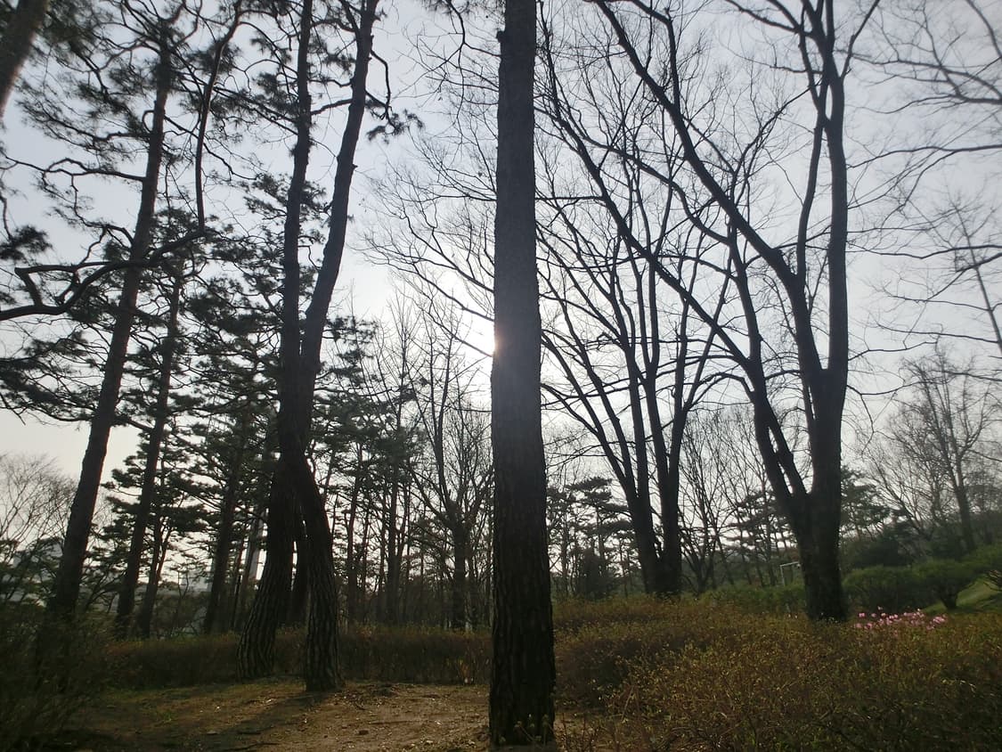 카시오 EX-tr 레트로 디카 블루 (희귀 디카 기종) 셀카용/셀피용 상품이미지4