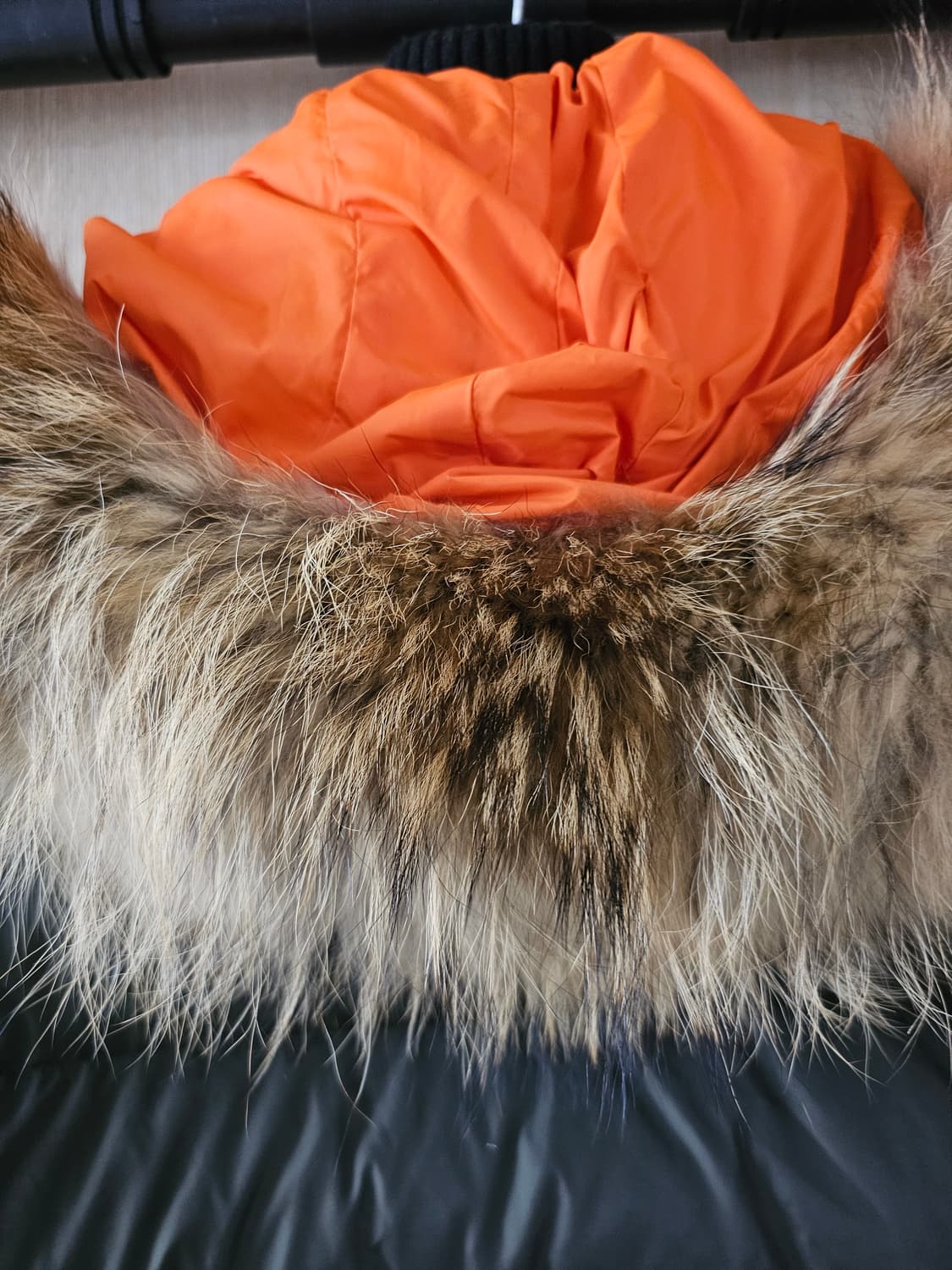 디스퀘어드2 콜마이너 라쿤 패딩(48/95~100) 상품이미지6