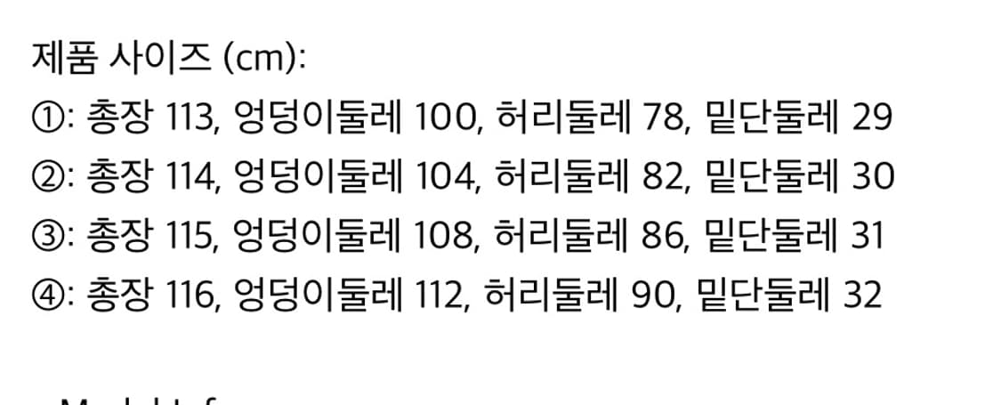 Distressed Baggy Denim Pants  상품이미지5