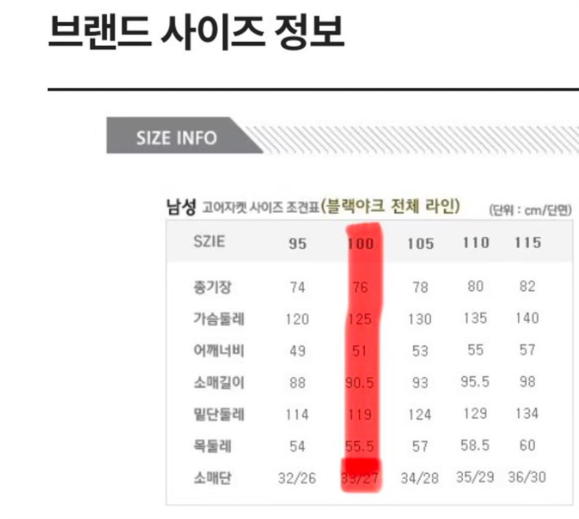 블랙야크 B아이스엣지 고어텍스 구스다운 100 상품이미지8